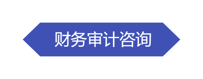 审计咨询